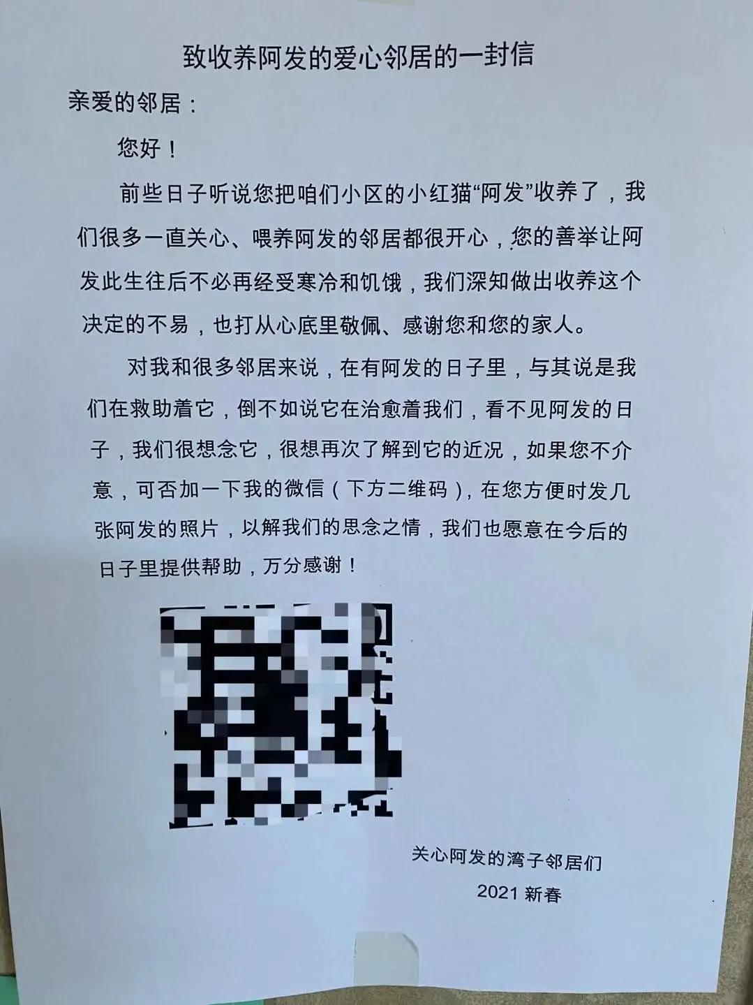 10年前捡回的猫变成的人,8年前从垃圾堆里捡的猫