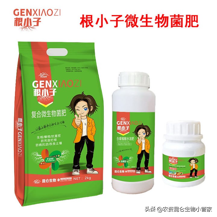 土豆腐烂病怎么防治,土豆根腐病根治方法
