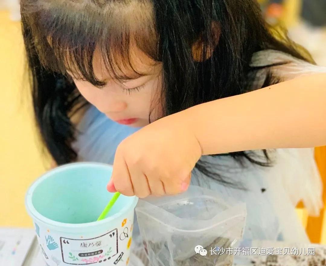 诺亚舟幼儿园,诺亚舟幼儿园里欢乐多