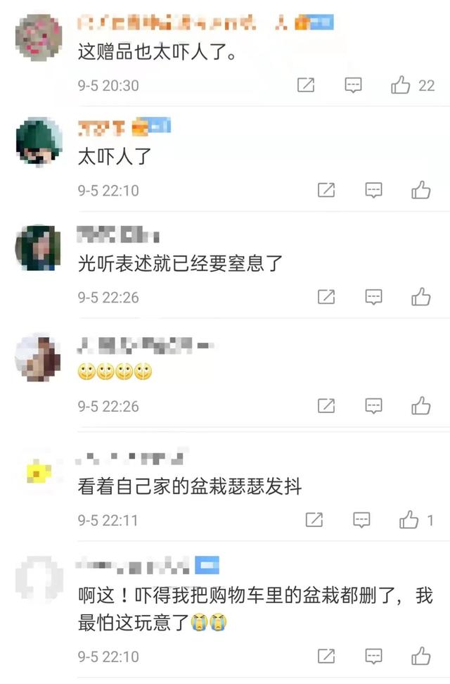 姣嶈泧瀛靛寲灏忚泧,姣嶈泧浜у皬铔囪寮傚叏杩囩▼