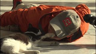 吸猫最高境界图片,吸猫最高境界完整视频