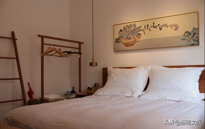 山东淄博田庄德禄民宿,淄博半山杏舍山居民宿