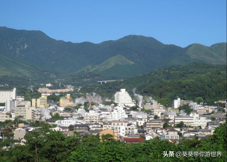 葵葵点评佐贺县,葵葵测评地狱蝗虫