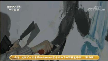 刮腻子走红网络的女孩,95后刮腻子女孩账号