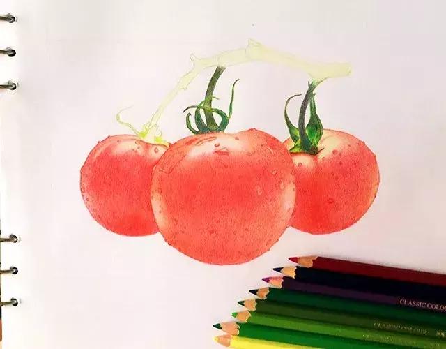 儿童彩铅画番茄,彩铅画写生番茄