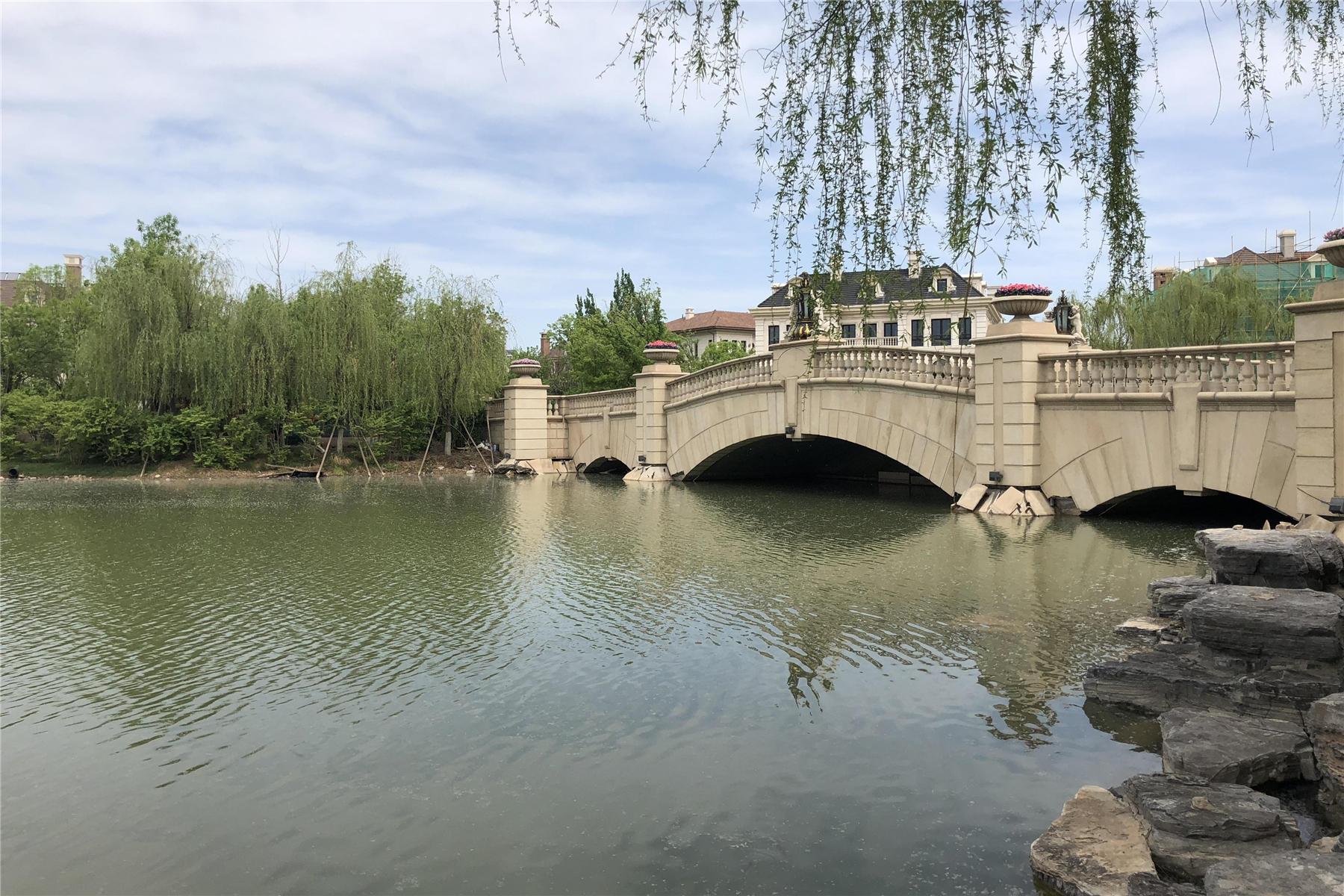 别墅精品豪宅首选,独栋大平层豪宅200-300平