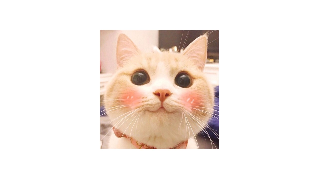 经济舱怎么坐出头等舱的舒适感,有了它们我可以更加轻松的出行