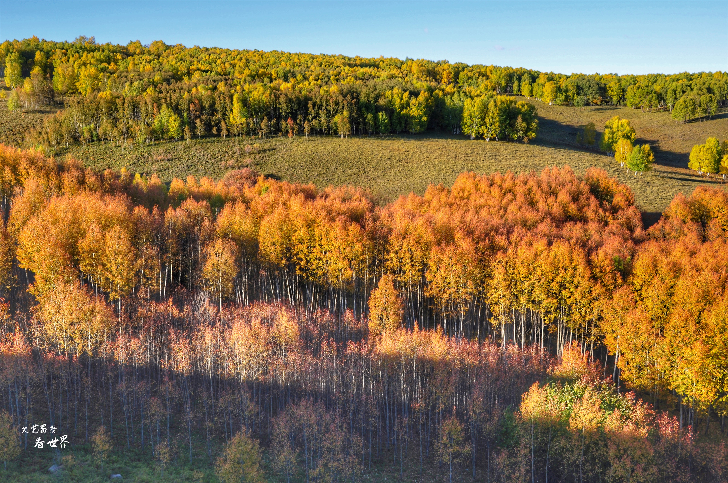 阿尔山的冬天就是童话世界,如果你第一次来到草原会感叹什么