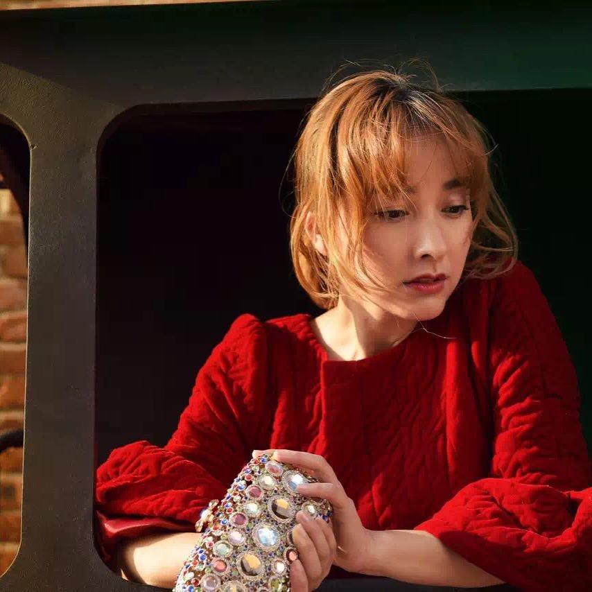 徐海乔送燃燃回家视频,徐海乔给公主送礼物