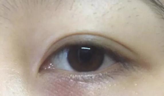 雅诗兰黛小棕瓶对比兰蔻菁纯眼霜,雅诗兰黛小棕瓶眼霜与兰蔻小黑瓶