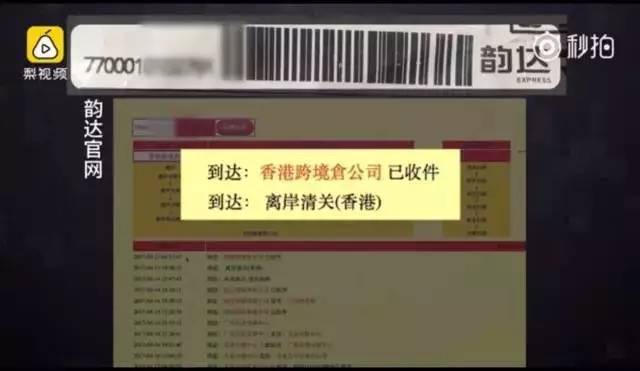 购买到假的阿迪达斯在哪里鉴定,阿迪达斯买到了假鞋去哪鉴定