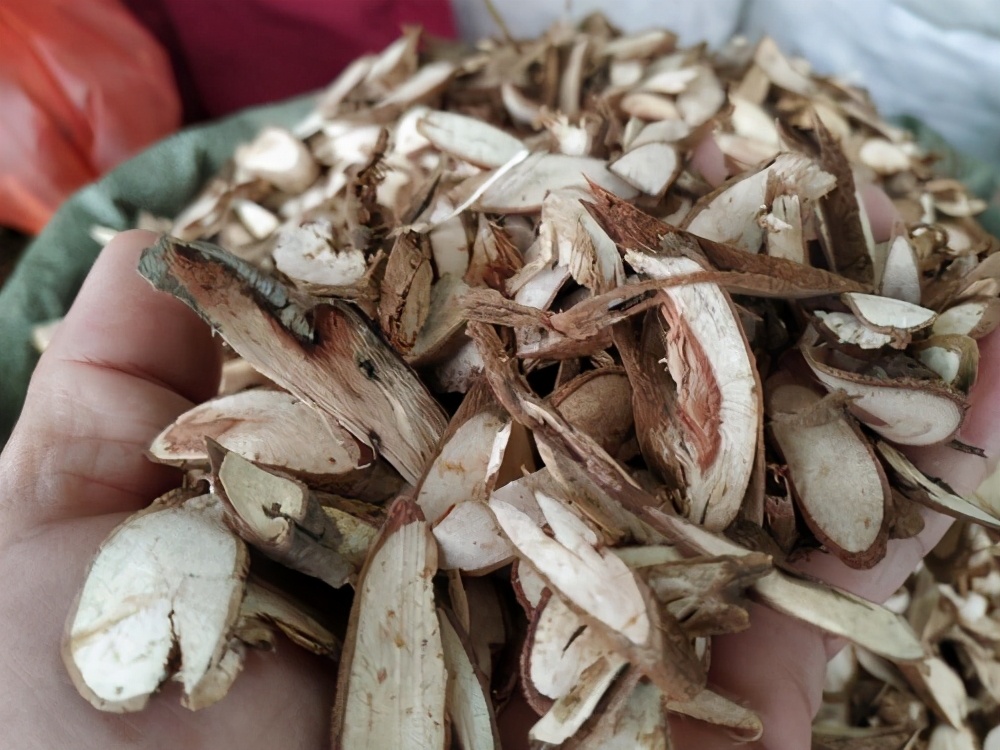 一条根售价,一条根茎卖600元