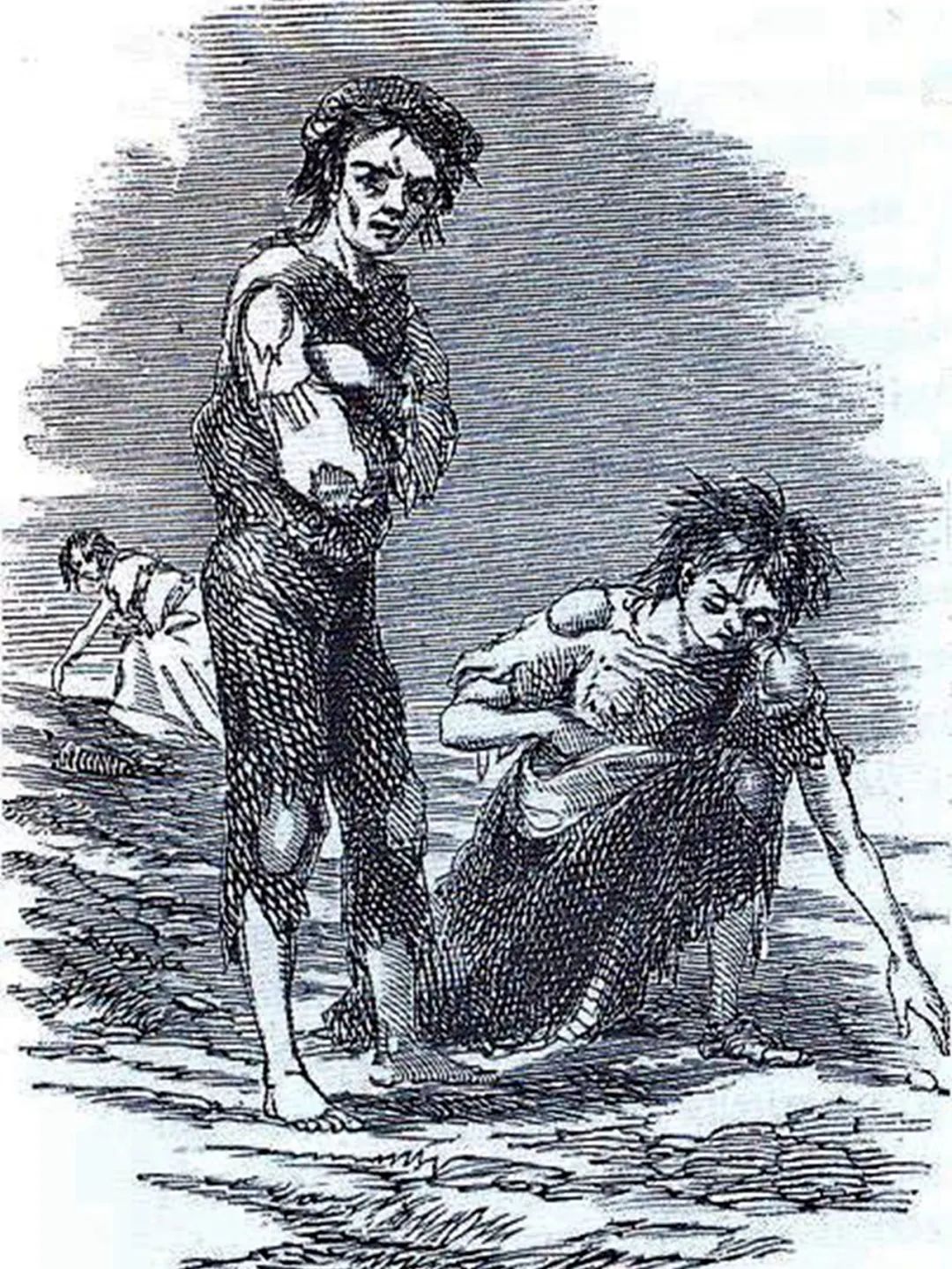 爱尔兰饥荒死亡原因,爱尔兰饥荒死亡多少