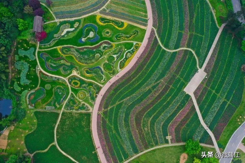 石象湖现在开放吗最新消息,石象湖景区什么时候开放