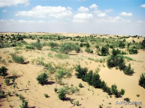 达拉特旗景区,五一达拉特旗旅游景点