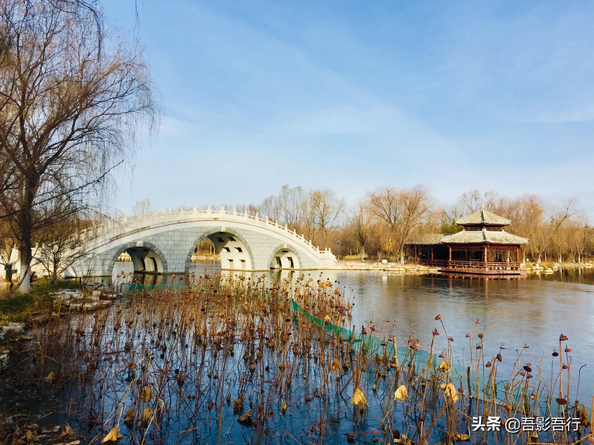 武清津北森林公园有哪些风景,天津武清森林公园开放时间表