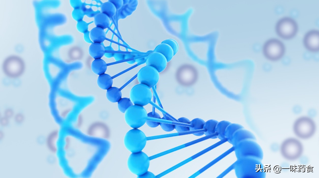 黄帝内经讲解在哪听,黄帝内经主要讲什么内容