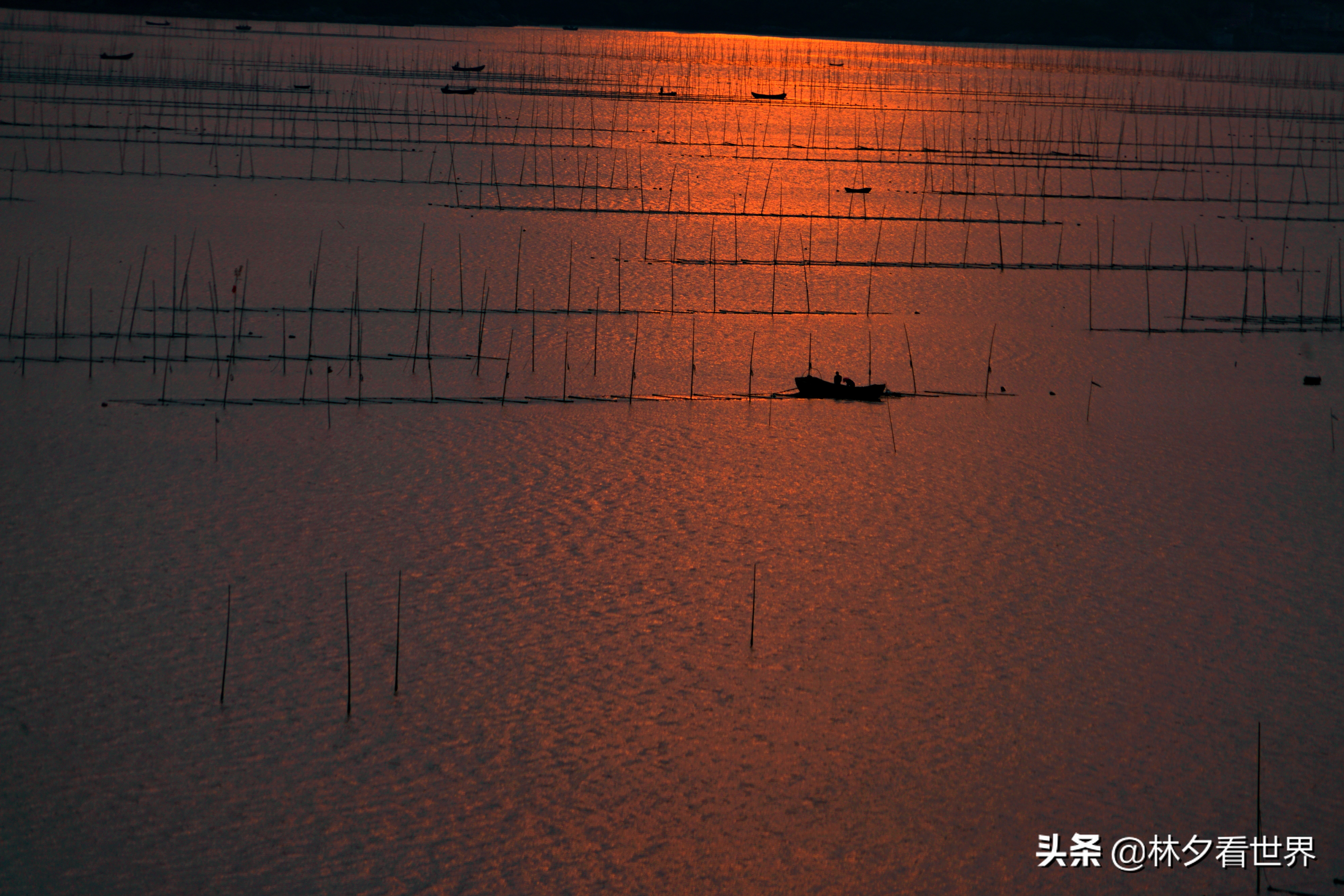 苍南最佳景点排名前十名,浙江苍南最美的地方