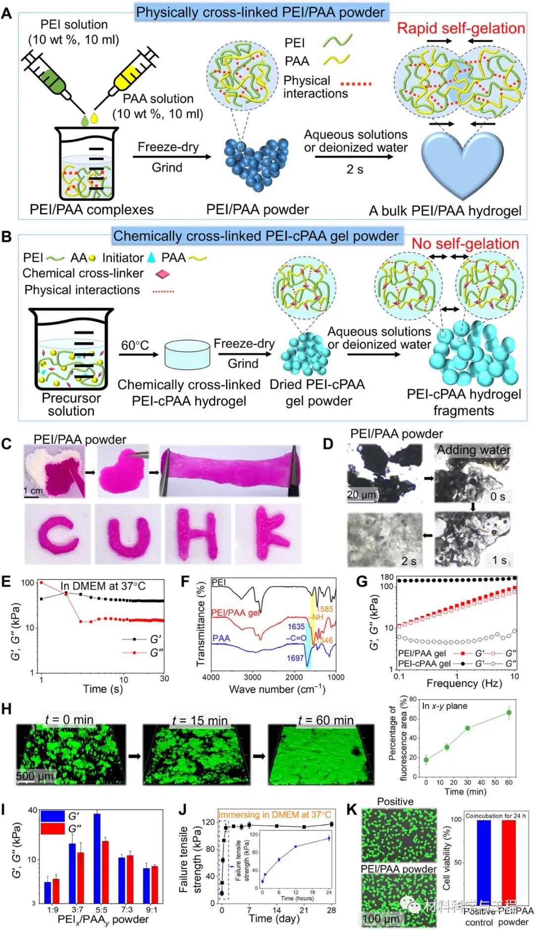 Science子刊：涂点粉，加点水，2秒就让伤口愈合、止血？