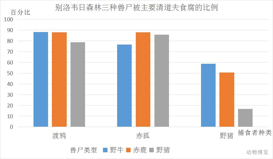 说好了一起捕猎，有的食肉动物却做了清道夫