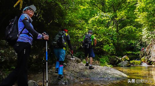护膝到底有没有用,运动护膝与普通护膝区别