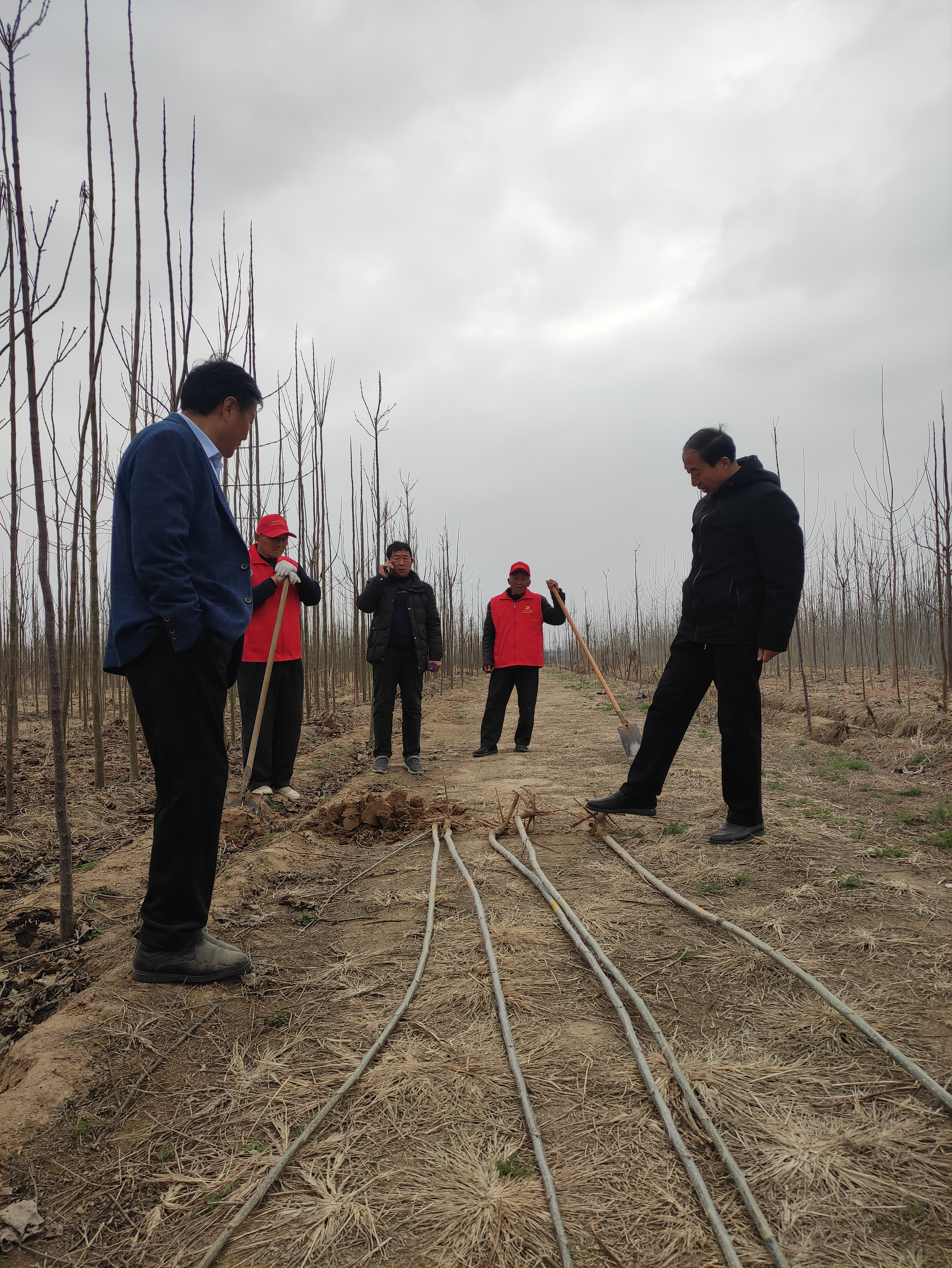 筑牢生态屏障,筑牢生态屏障守护美好家园