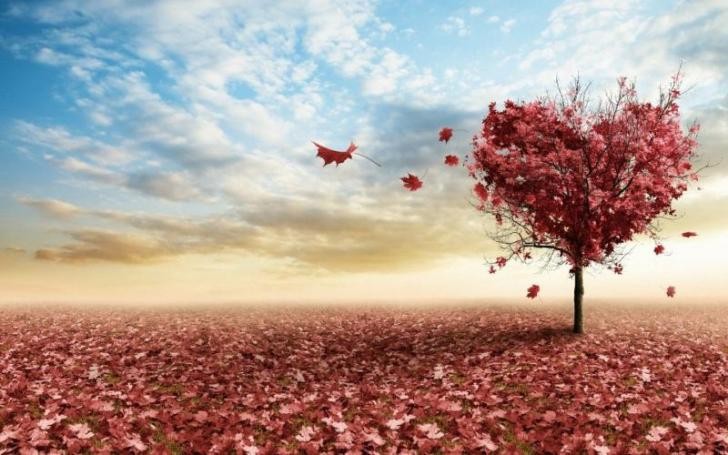 如果你爱的人不爱你怎么办？听听过来人怎么说