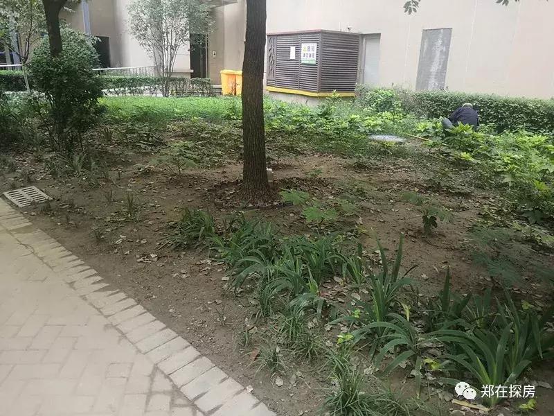 万达小区会烂尾吗,万达老旧小区规划