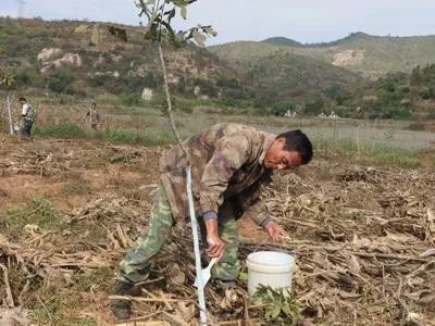 果树冬天用什么涂白剂,果树栽培中涂白剂的作用