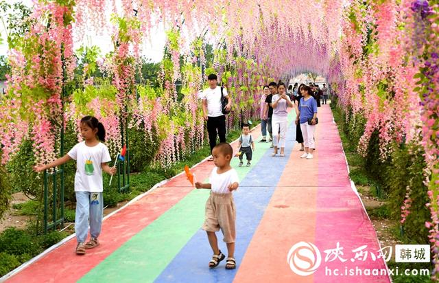 6月21日，新闻中的韩城事（组图）