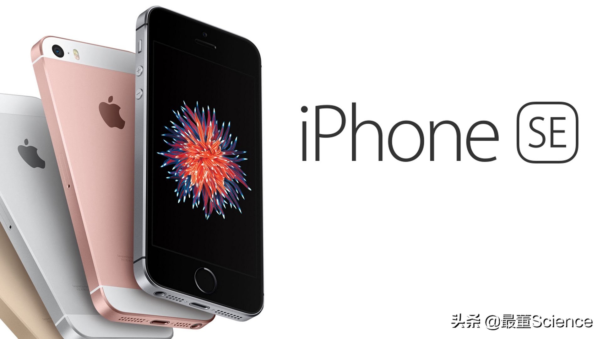 万字长文、海量图片为你介绍手机霸主——美国苹果公司AppleInc.