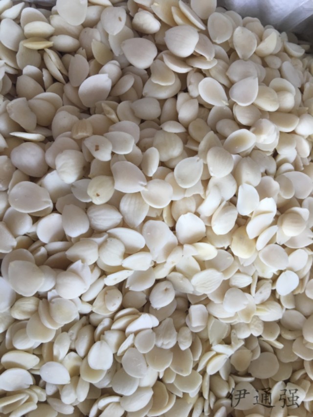 中药中有苦杏仁该怎么煮,学习一味中药