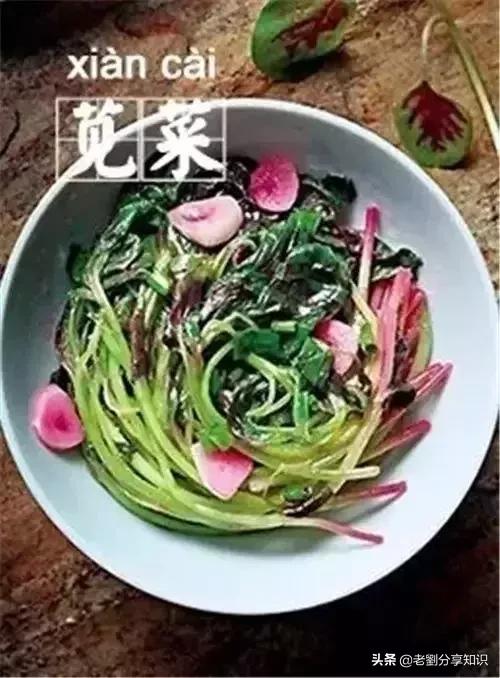 假期里的美食,假期好多好吃的东西