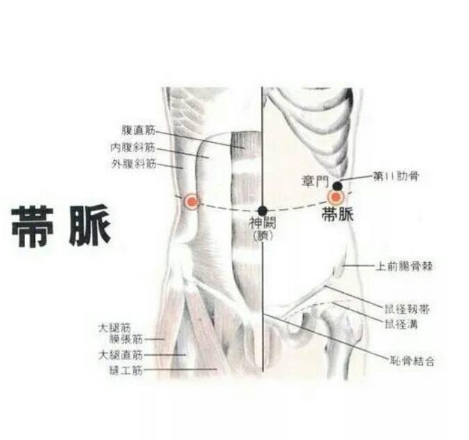 腰腹易囤肉？多是经络不畅，每天这么躺1分钟，久坐也不长肉