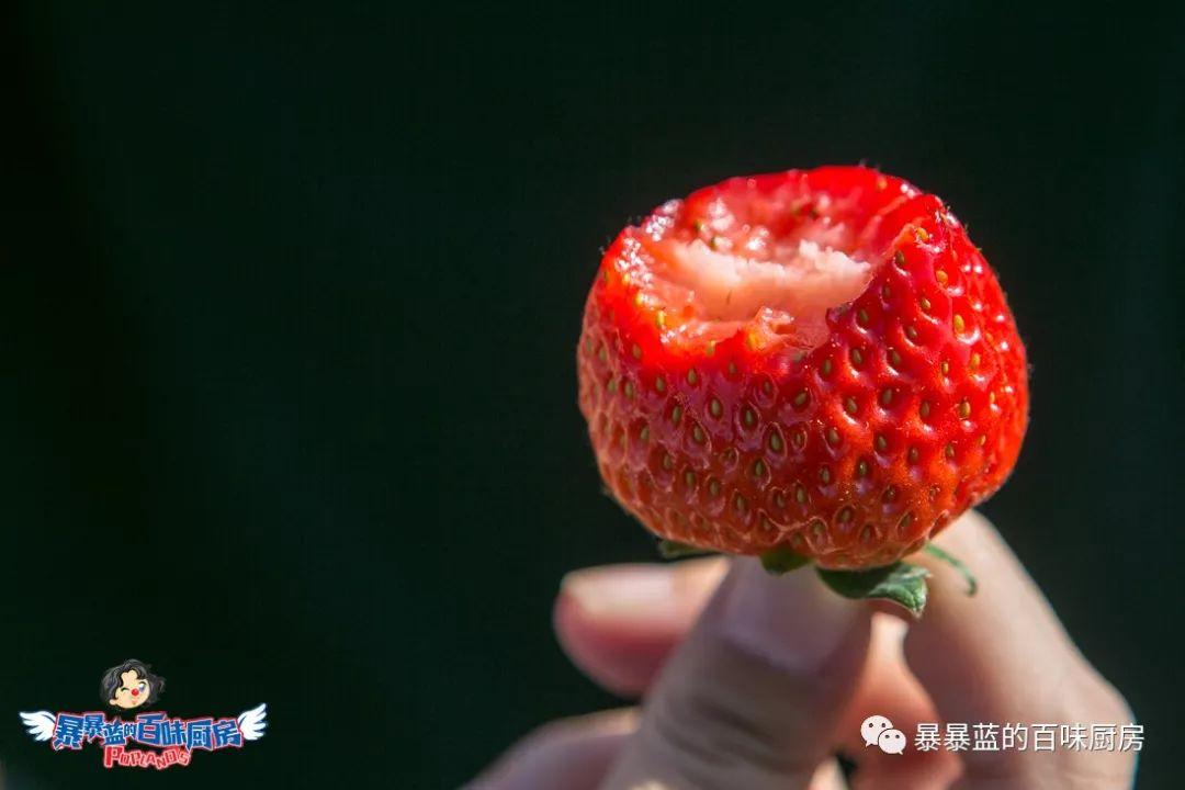 丹东特大久久红草莓,丹东九九大草莓是引进的吗