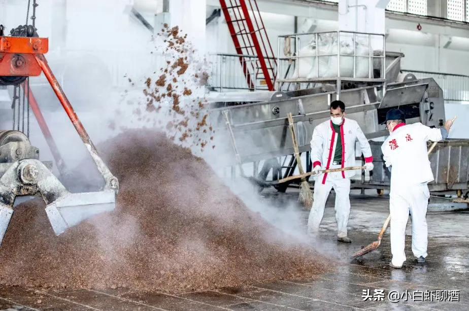 西凤白酒口感怎么样,陕西西凤最流行的酒