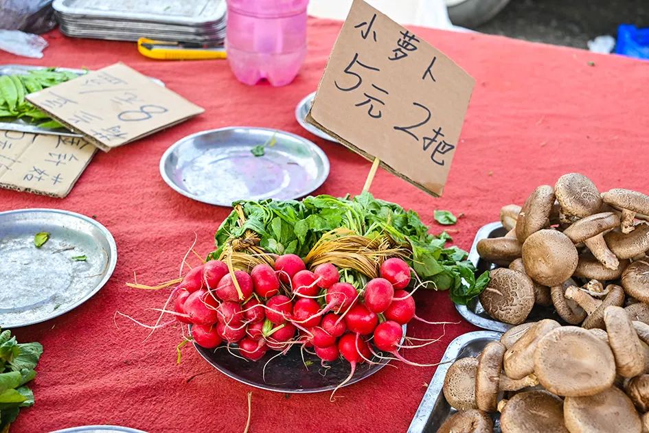 北京京郊大集地理位置,今天京郊哪有大集