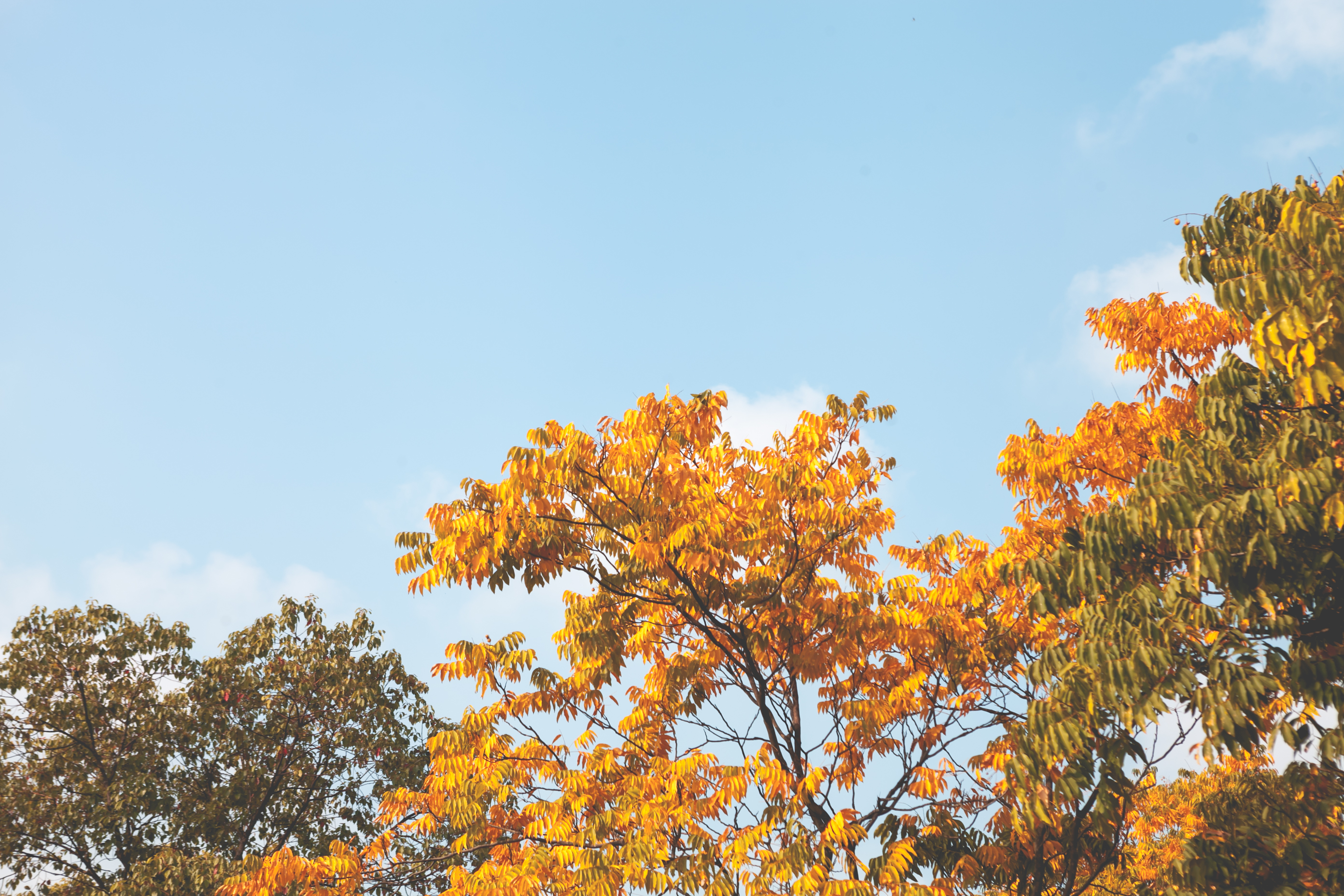 秋天的无锡美的醉人，去无锡旅行，这些好地方不要错过了