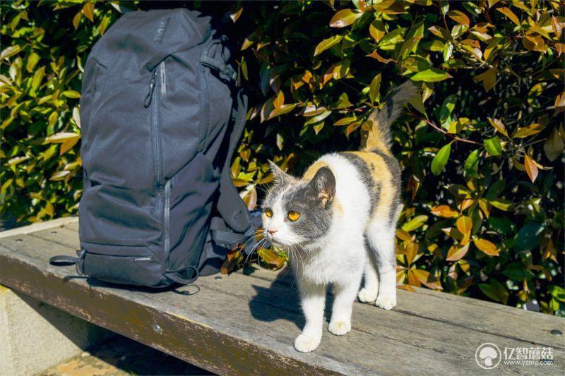 拓乐thule价格,拓乐thule选择