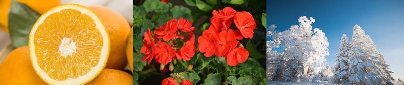 5款好闻到炸裂的香水,六款一定要买的香水香水控必入