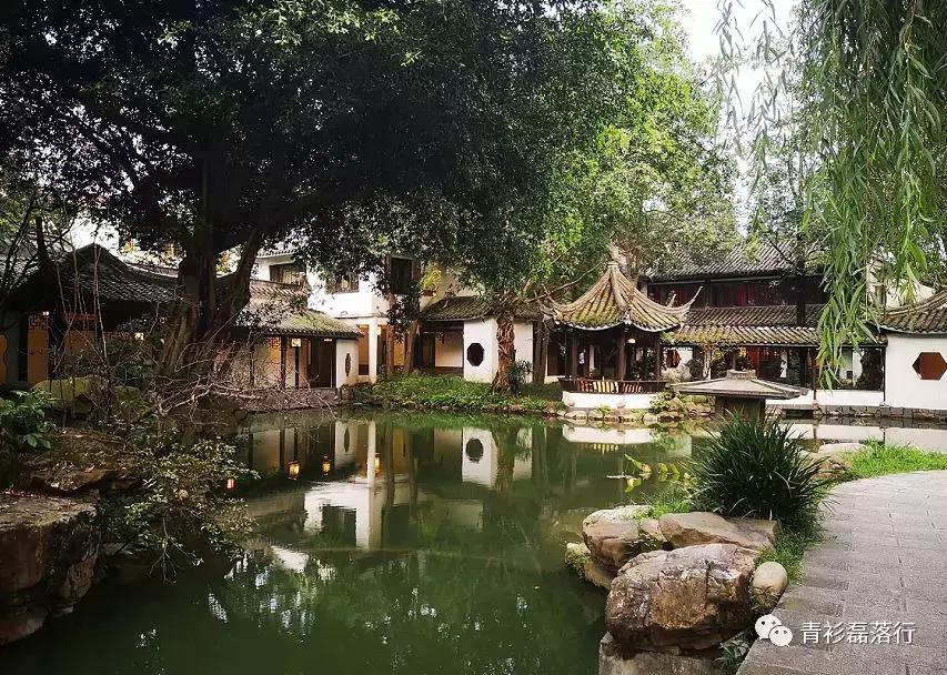 月满易园兰舟、秋莲华西钟楼：诗意生活就在身边，何须远走？