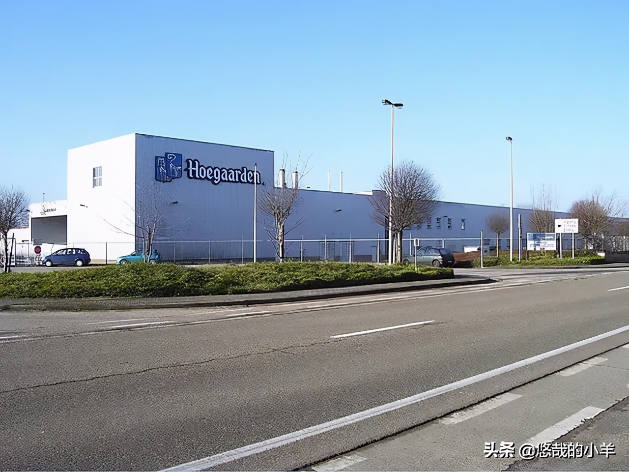 德式白啤和比利时白啤区别,比利时的福佳白啤多少钱