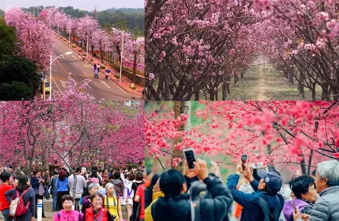 他送的情人节礼物，我居然过敏！