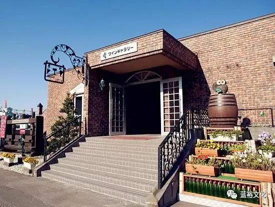 北海道葡萄酒兑什么好喝,北海道葡萄酒