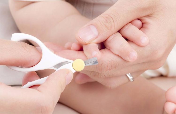 给宝宝剪指甲不剪会怎样,婆婆不让给宝宝剪指甲