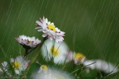 非常时期咳嗽发烧怎么办,非常时期咳嗽怎么办