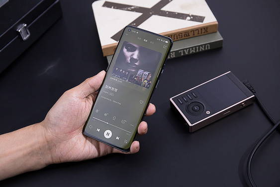 hifiman鍠滈┈鎷夐泤,Hifiman鍠滈┈鎷夐泤鑺墖