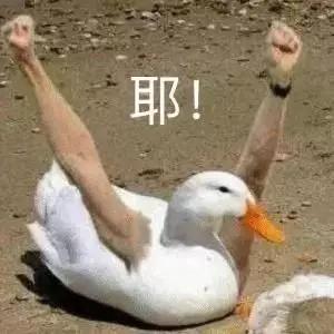 天猫官方旗舰店假货几率大吗,天猫旗舰店假货大揭秘