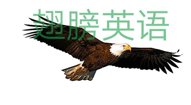 高中生英语作文必背范文推荐,高中背英语作文有用吗