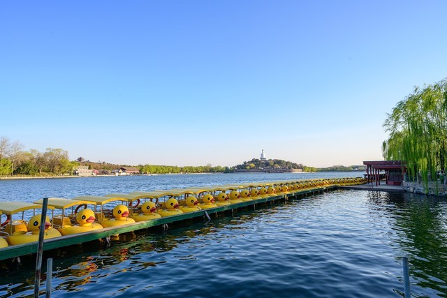 尼康z50mmf1.8,尼康定焦50mmf1.8g镜头拍照效果